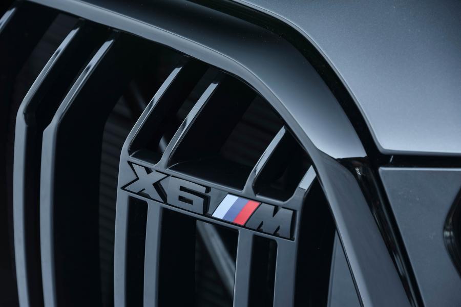 Логотип BMW X6 M Competition (F96) 2020 года  (ZA) (фото 12 из 19)